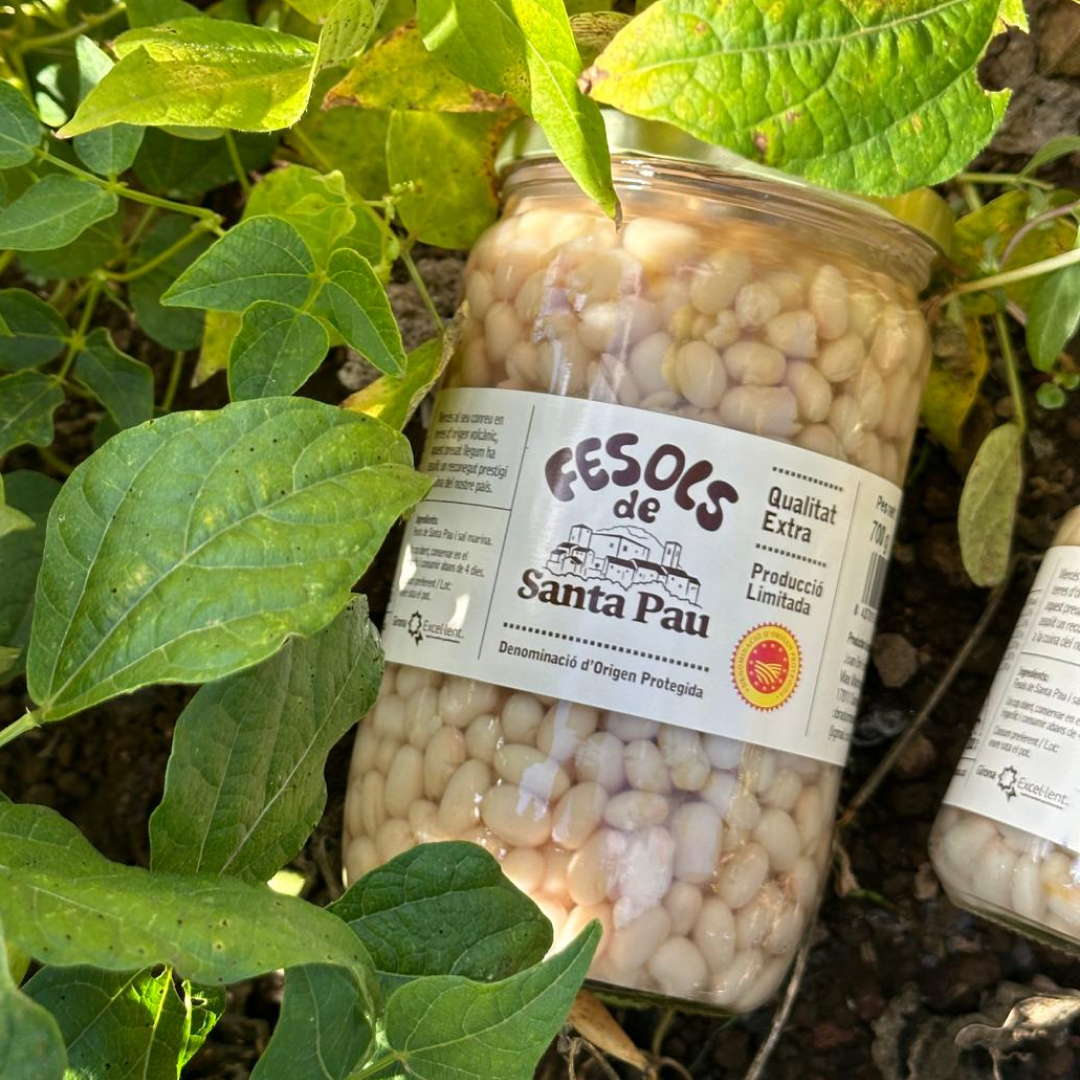 Fesols-Pot Gran